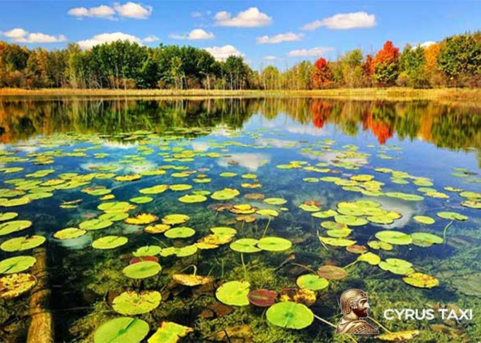 جاهای دیدنی رشت فومن