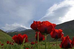 مکان های دیدنی اطراف تهران با تاکسی دربستی