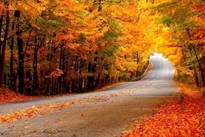 راهنمای سفر به گرگان