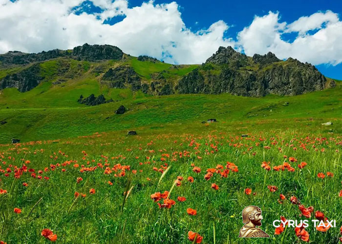 مکان های دیدنی تالش جزو مناطق سرسبز ایران است.