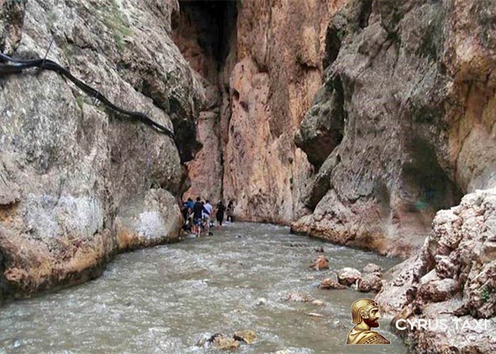 قیمت ورودی تنگه واشی