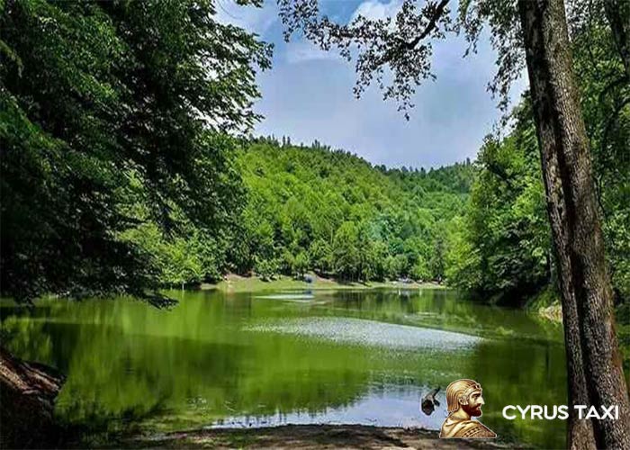 جنگل فرح آباد ساری کجاست؟