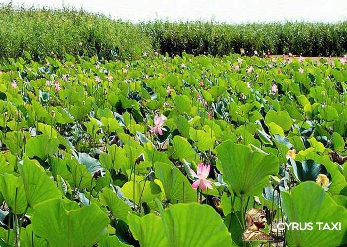جاهای دیدنی فومن و صومعه سرا