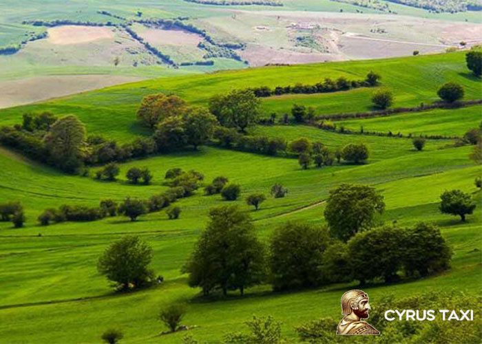 معرفی جاهای دیدنی شهر ساری و جاذبه های طبیعی آن