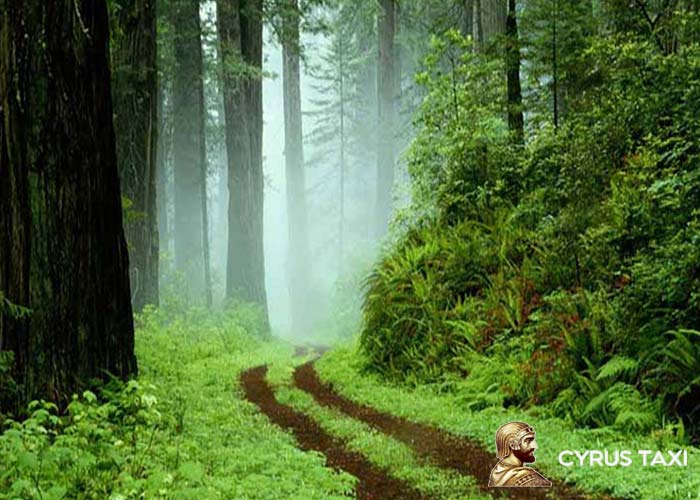 جاهای دیدنی صومعه سرا در شب با آدرس