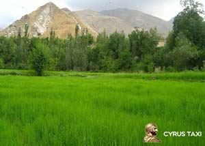 جاهای دیدنی فلاورجان