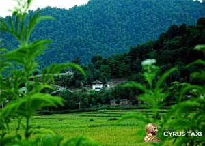 جاهای دیدنی فومن