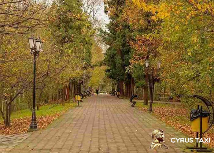 سفر به رشت در پاییز