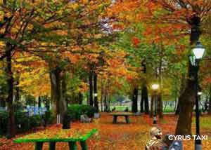 راهنمای کامل سفر به رشت در فصل پاییز و بهار