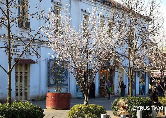 بهار رشت کجا بریم؟