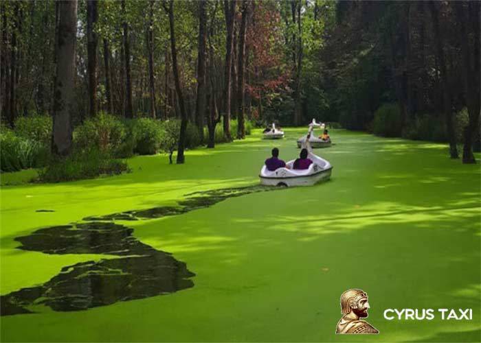 جنگل سراوان در اطراف رشت