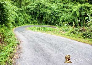 راهنمای سفر با تاکسی دربستی از تهران به شمال کشور