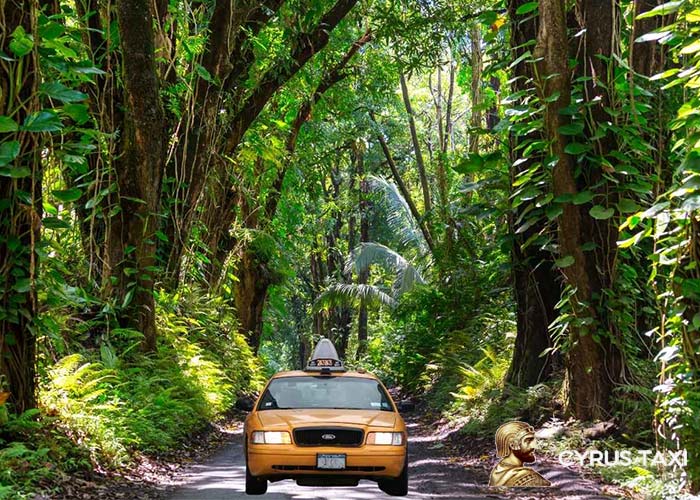 سفر با تاکسی دربستی از تهران به شمال راهنمای کامل رزرو تاکسی فرودگاه امام خمینی برای مسافران بینالمللی