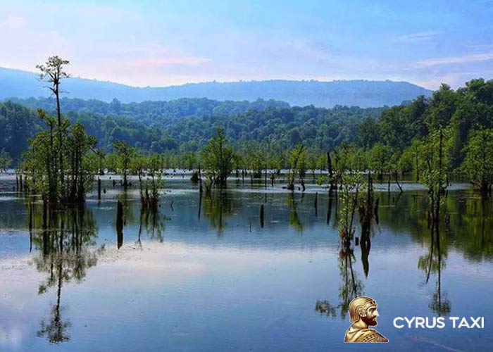 زیباترین دریاچه های مازندران را نام ببرید! زیباترین دریاچه های مازندران