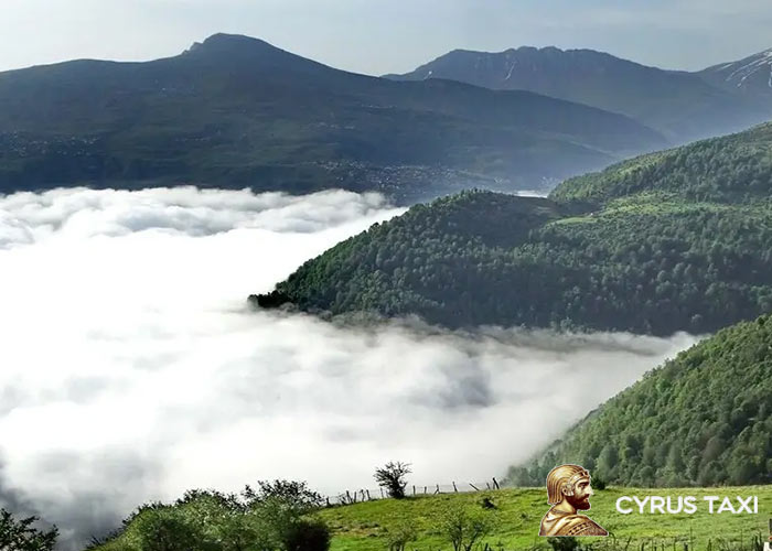 جنگلهای سرسبز اطراف روستا فیلبند