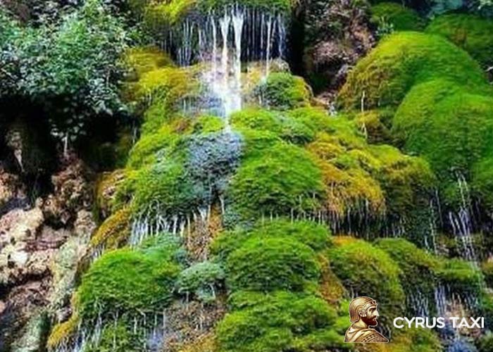 پارک جنگلی لوزان پارک جنگلی لوزان